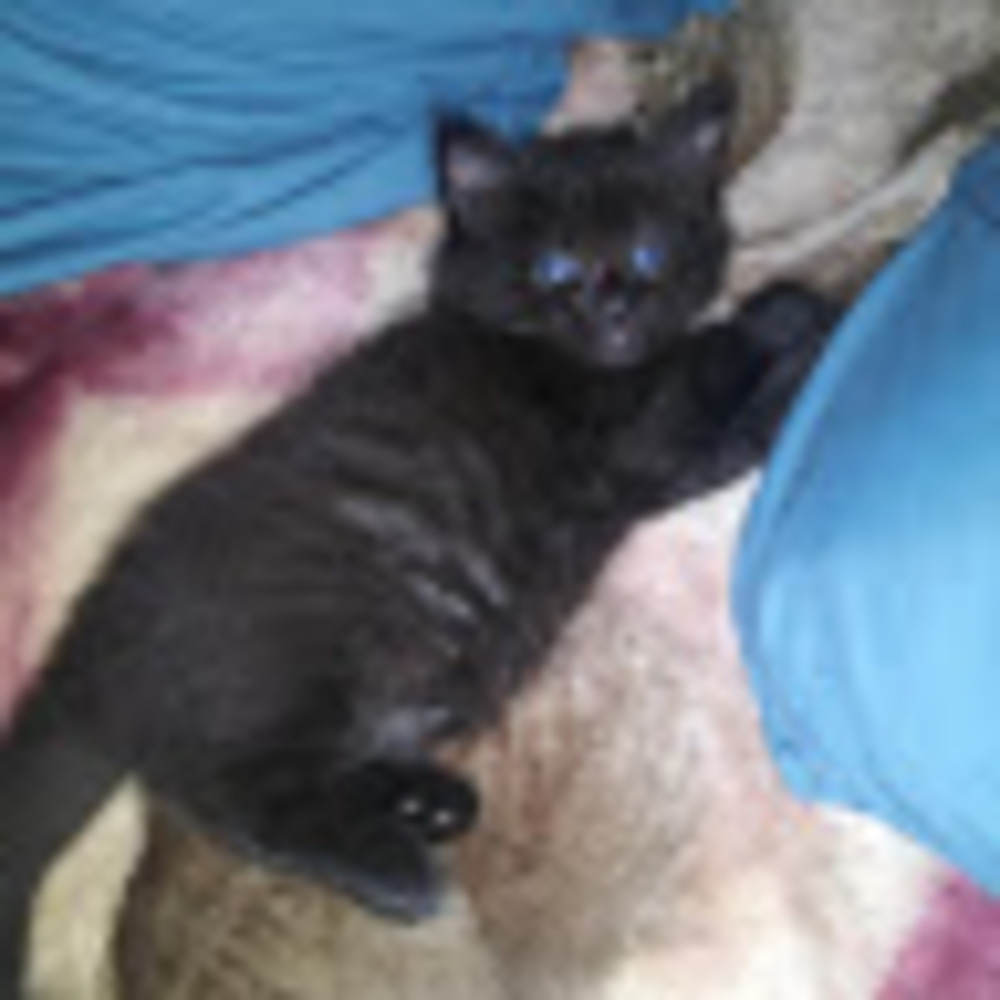 Meet your Posher, Kxry